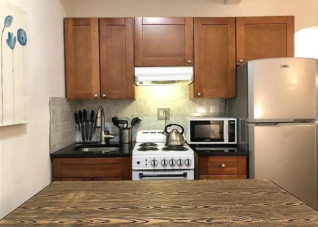 Modern Midtown East Apartments In Nyc 纽约 美国